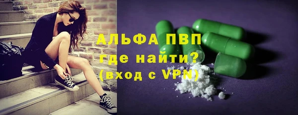 прущие грибы Аркадак