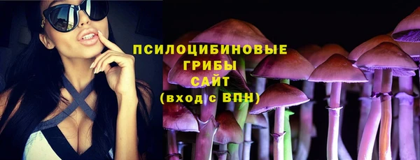 прущие грибы Аркадак