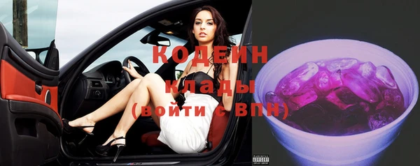 прущие грибы Аркадак