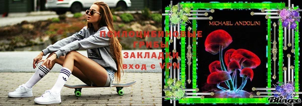 эйфоретик Арсеньев