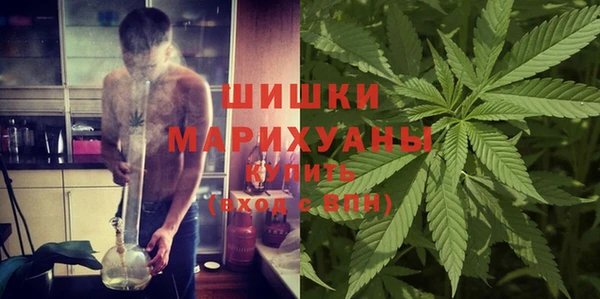 прущие грибы Аркадак