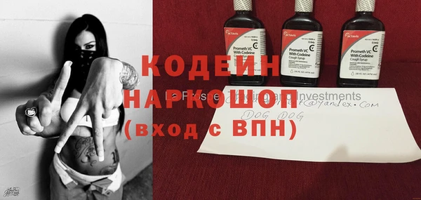 прущие грибы Аркадак