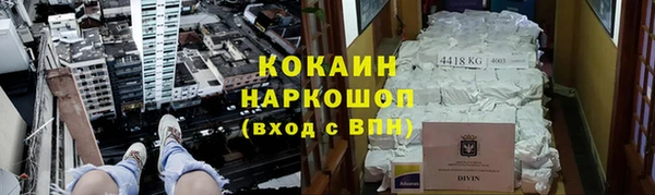 прущие грибы Аркадак