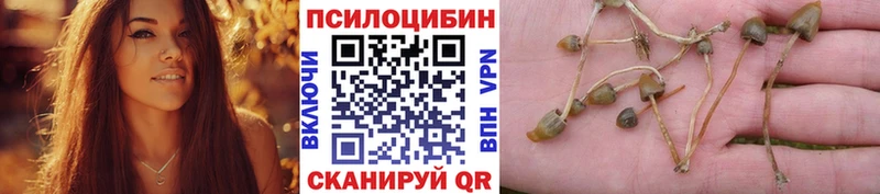 blacksprut зеркало  Рошаль  Галлюциногенные грибы прущие грибы 